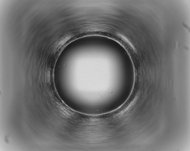 X0000096420777200801241316