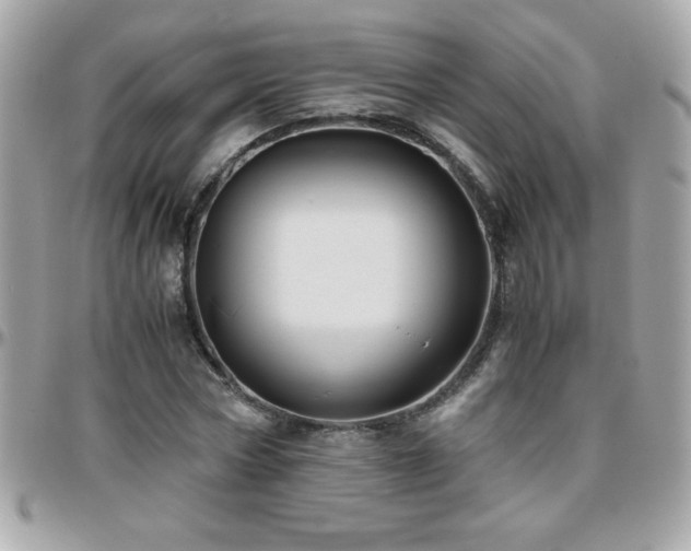 X0000096420778200801241316