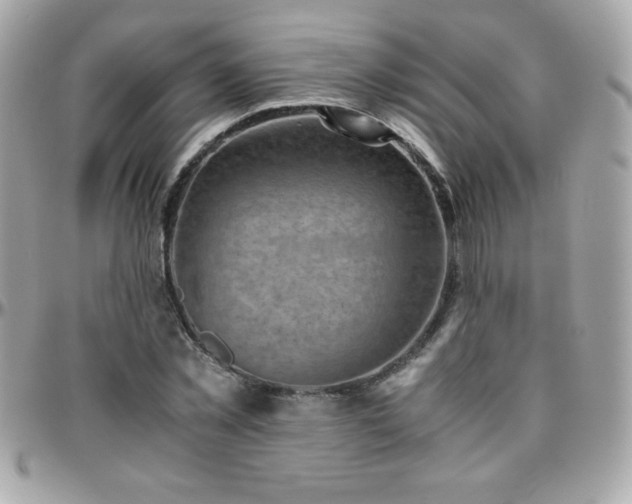 X0000096420781200801241316