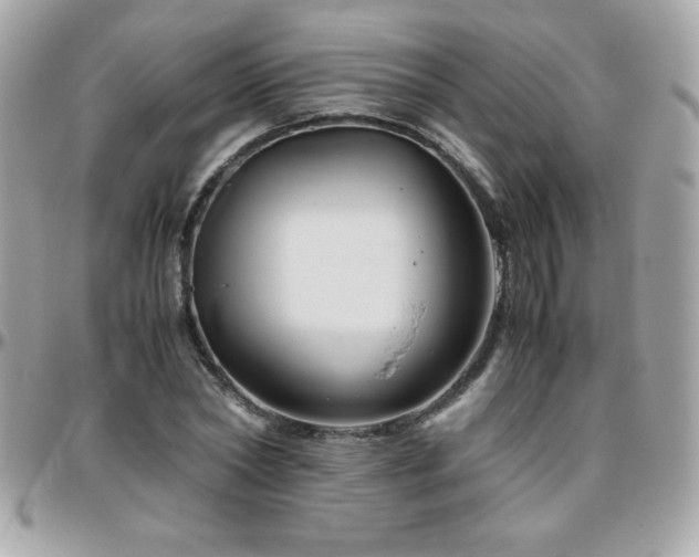 X0000096420782200801241316
