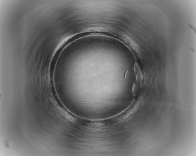 X0000096420784200801241316