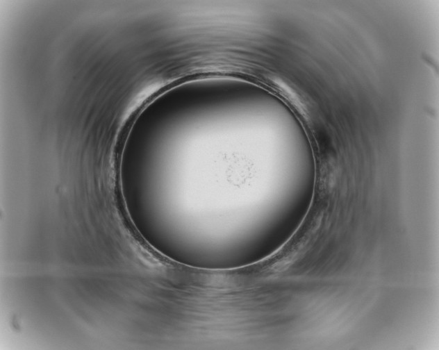 X0000096420787200801241316