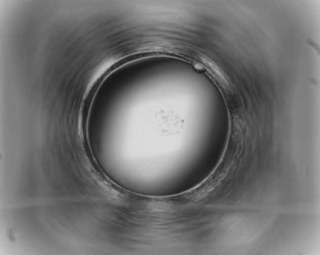 X0000096420788200801241316