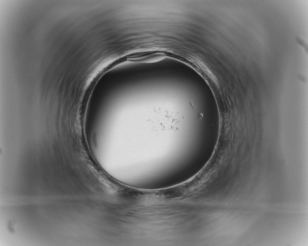 X0000096420789200801241316