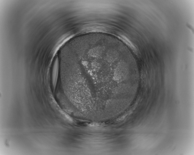X0000096420790200801241316