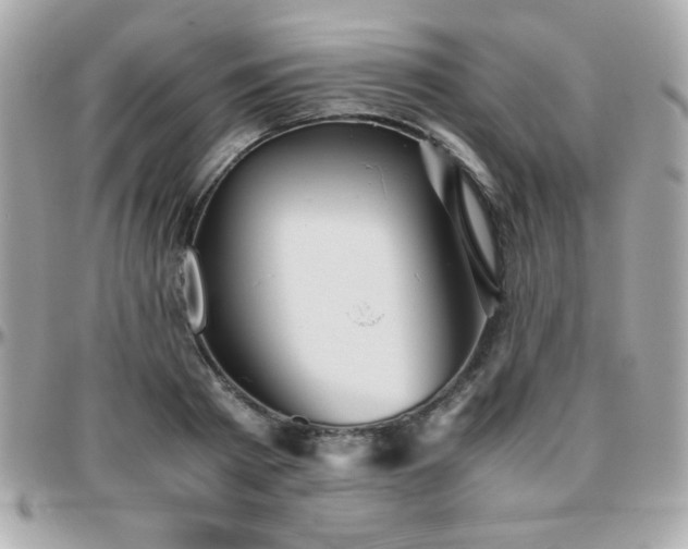 X0000096420793200801241316