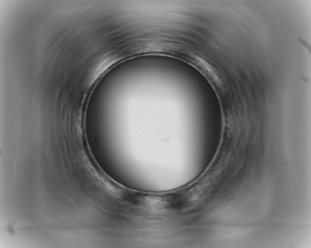 X0000096420794200801241316