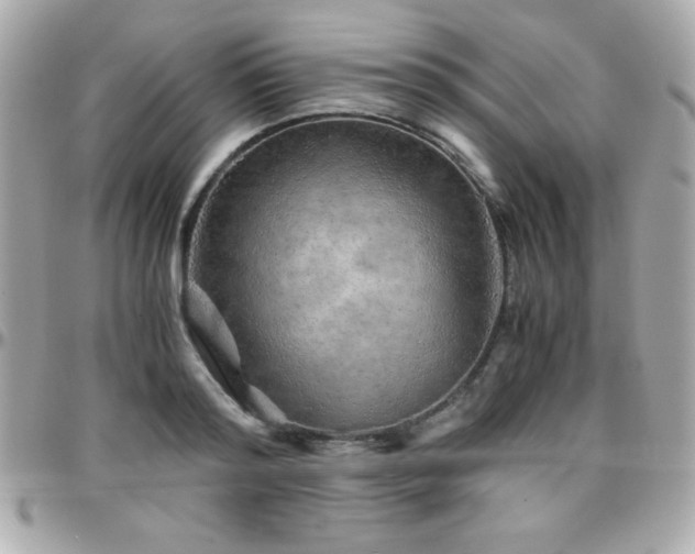 X0000096420796200801241316