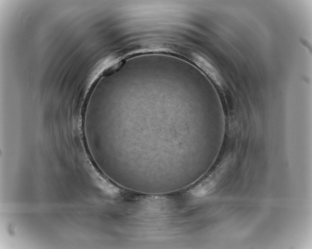 X0000096420797200801241316