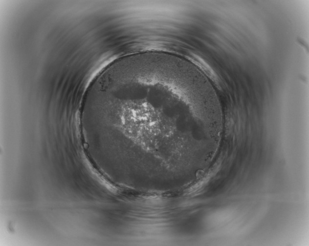 X0000096420798200801241316