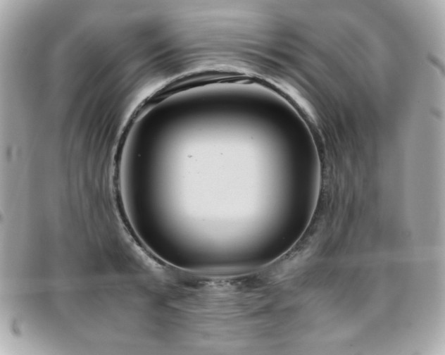 X0000096420799200801241316