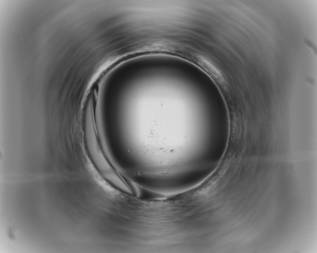 X0000096420800200801241316