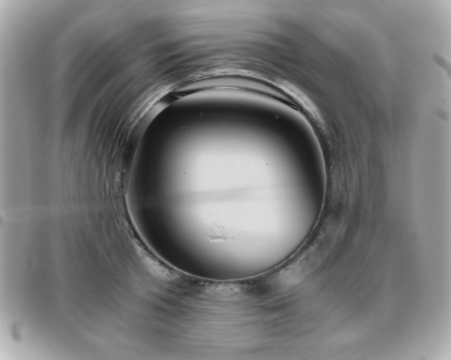 X0000096420801200801241316
