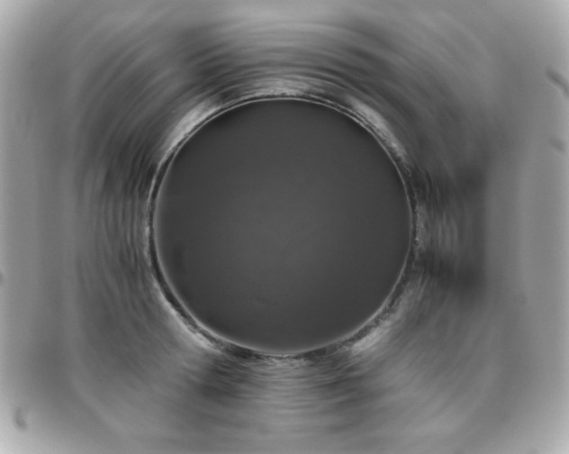 X0000096420802200801241316