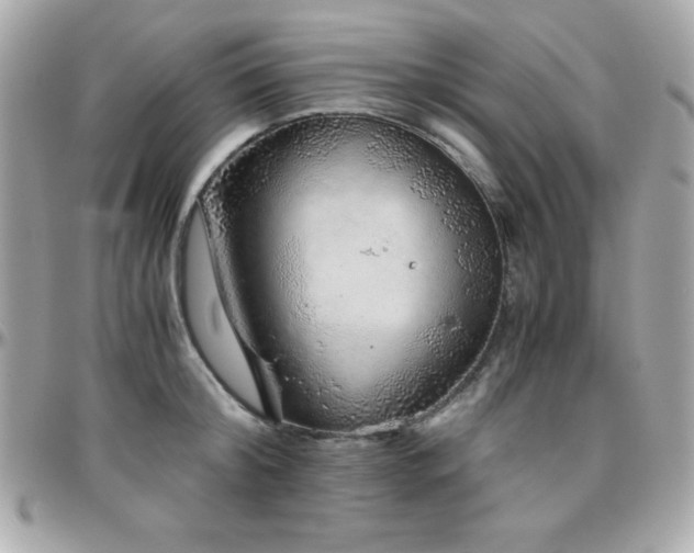 X0000096420804200801241316