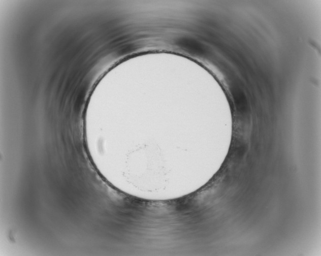X0000096420807200801241316