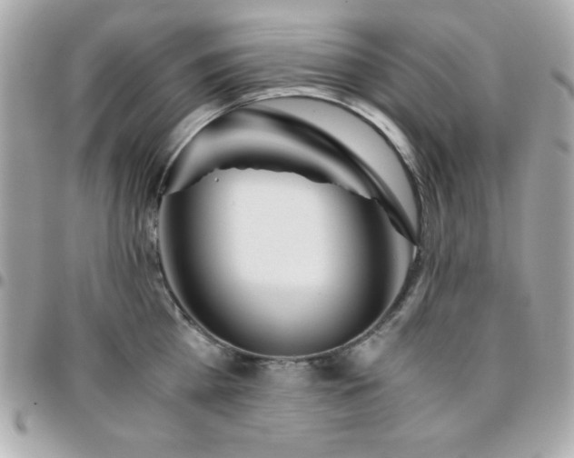 X0000096420809200801241316