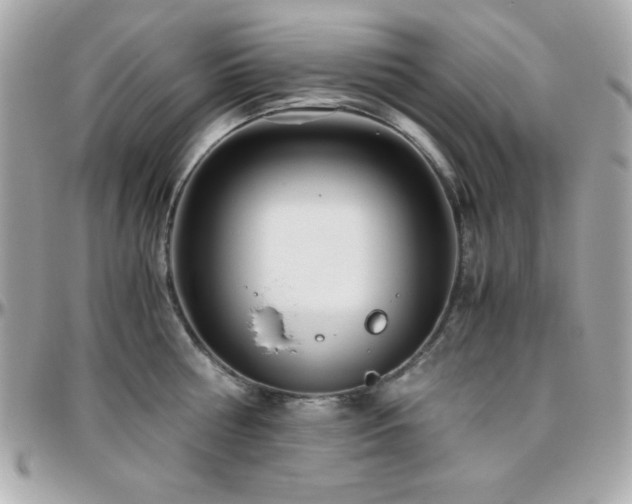 X0000096420810200801241315