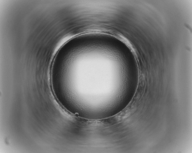 X0000096420811200801241315