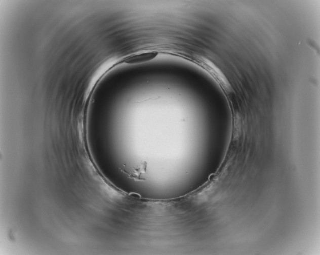 X0000096420812200801241315