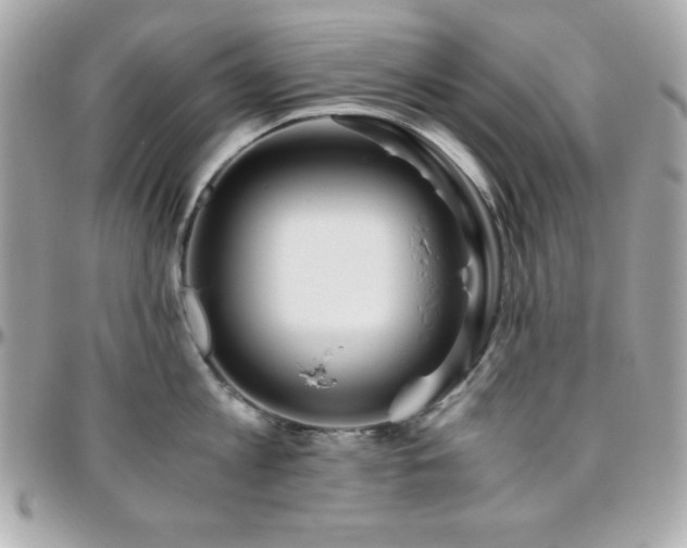 X0000096420813200801241315