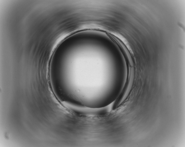 X0000096420815200801241315