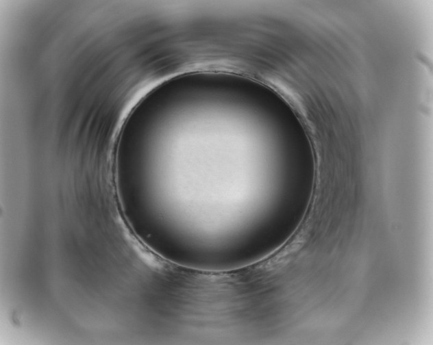 X0000096420816200801241315