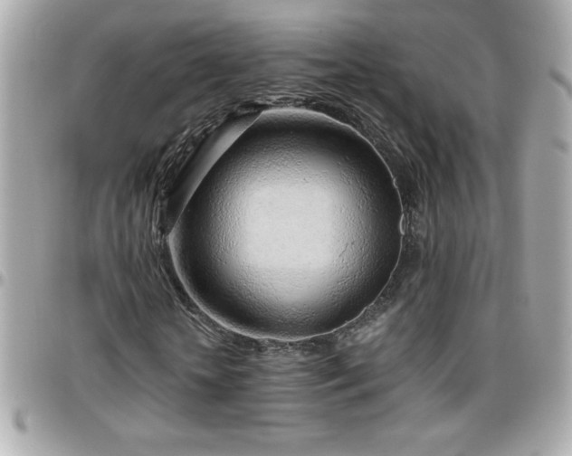 X0000096420818200801241315