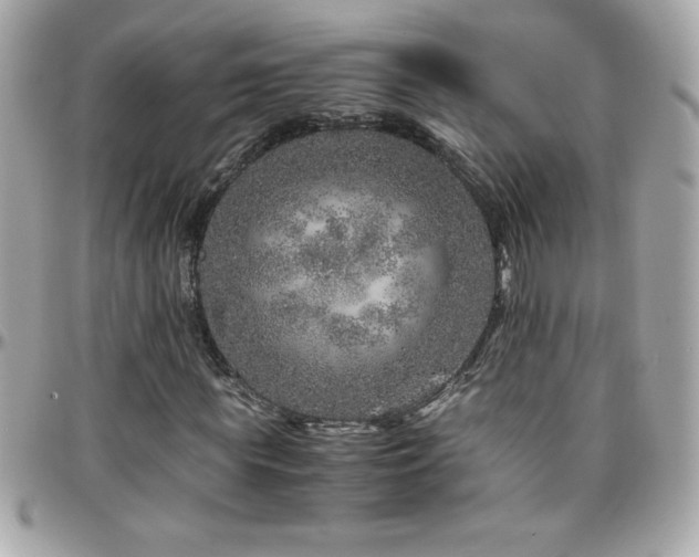 X0000096420819200801241315