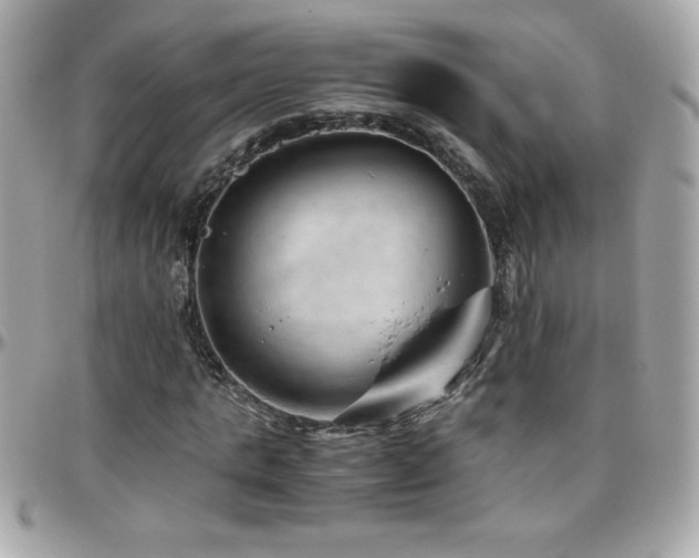 X0000096420821200801241315