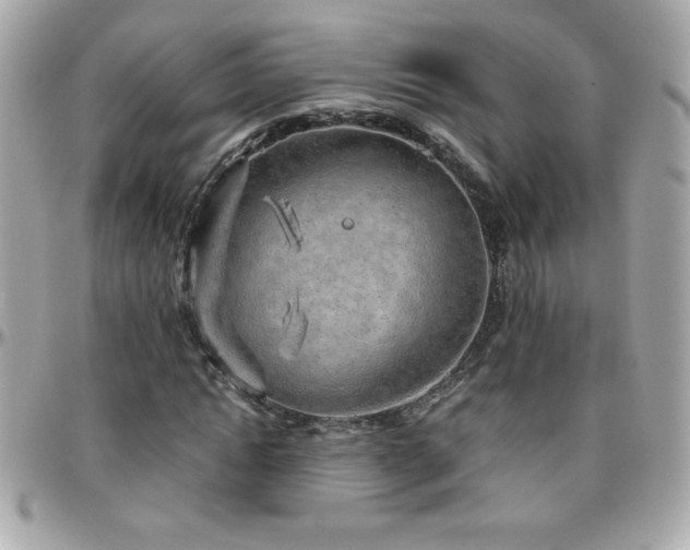 X0000096420822200801241315