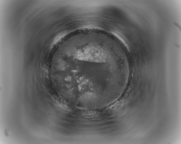 X0000096420823200801241315