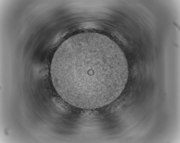 X0000096420824200801241315