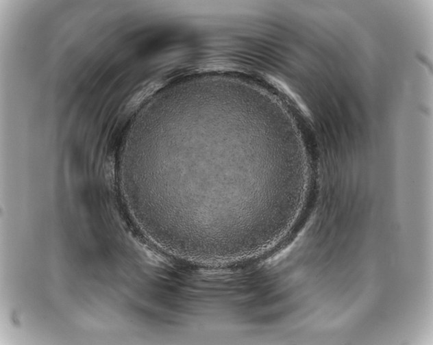 X0000096420825200801241315