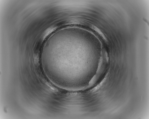 X0000096420826200801241315