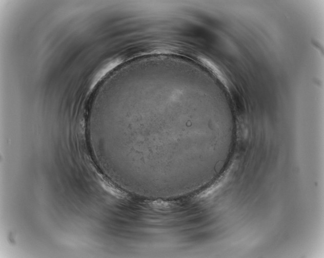 X0000096420827200801241315