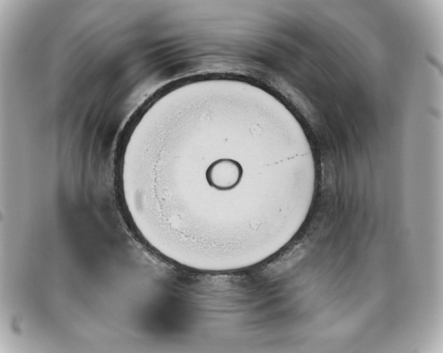 X0000096420828200801241315