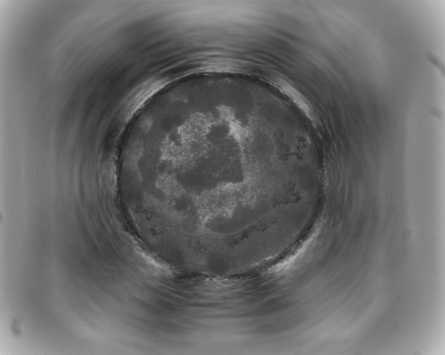 X0000096420829200801241315