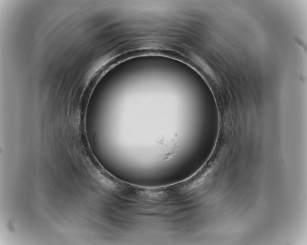 X0000096420831200801241315