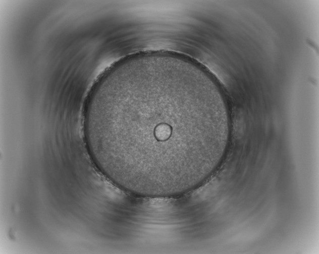 X0000096420832200801241315