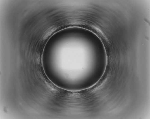 X0000096420833200801241315