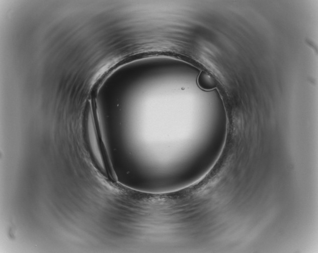 X0000096420834200801241315