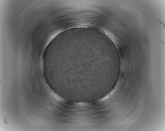 X0000096420835200801241315
