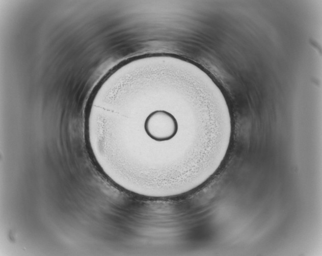 X0000096420836200801241315