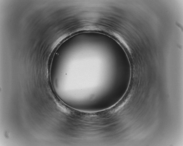 X0000096420837200801241315