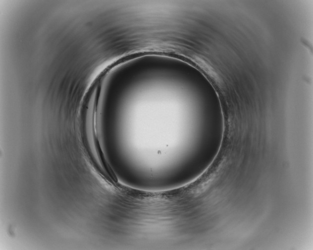 X0000096420838200801241315
