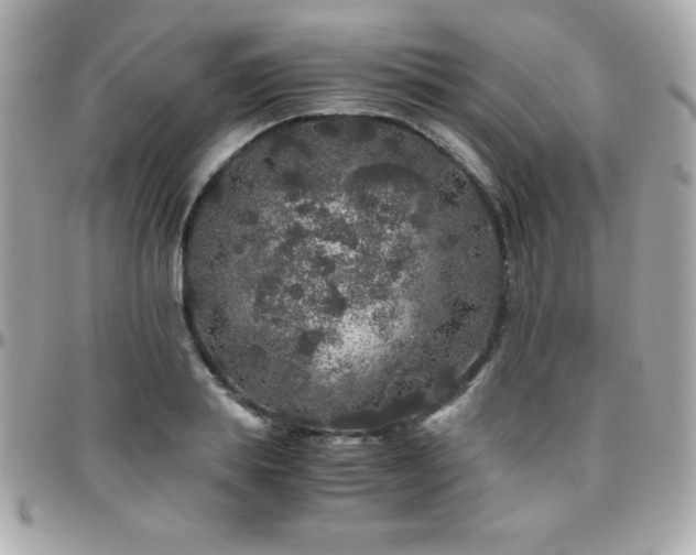 X0000096420839200801241315