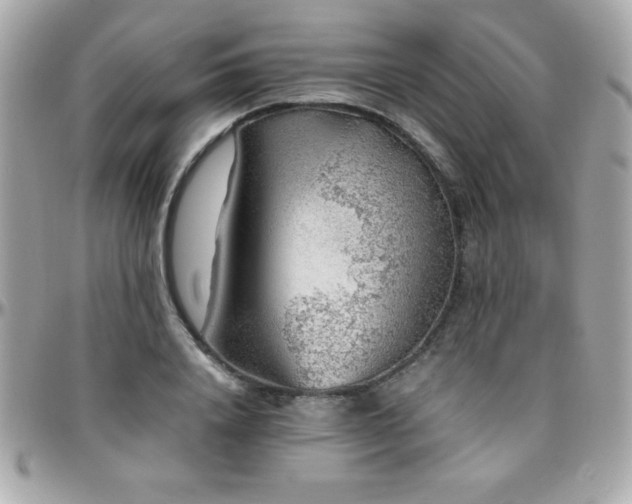 X0000096420840200801241315