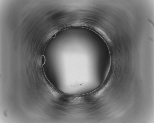 X0000096420841200801241315