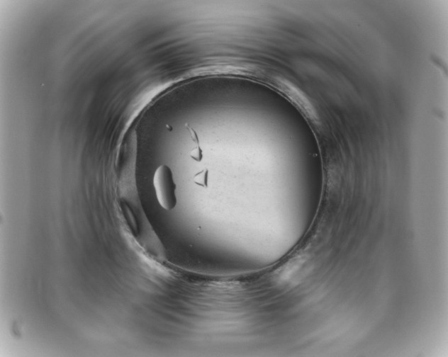 X0000096420844200801241315